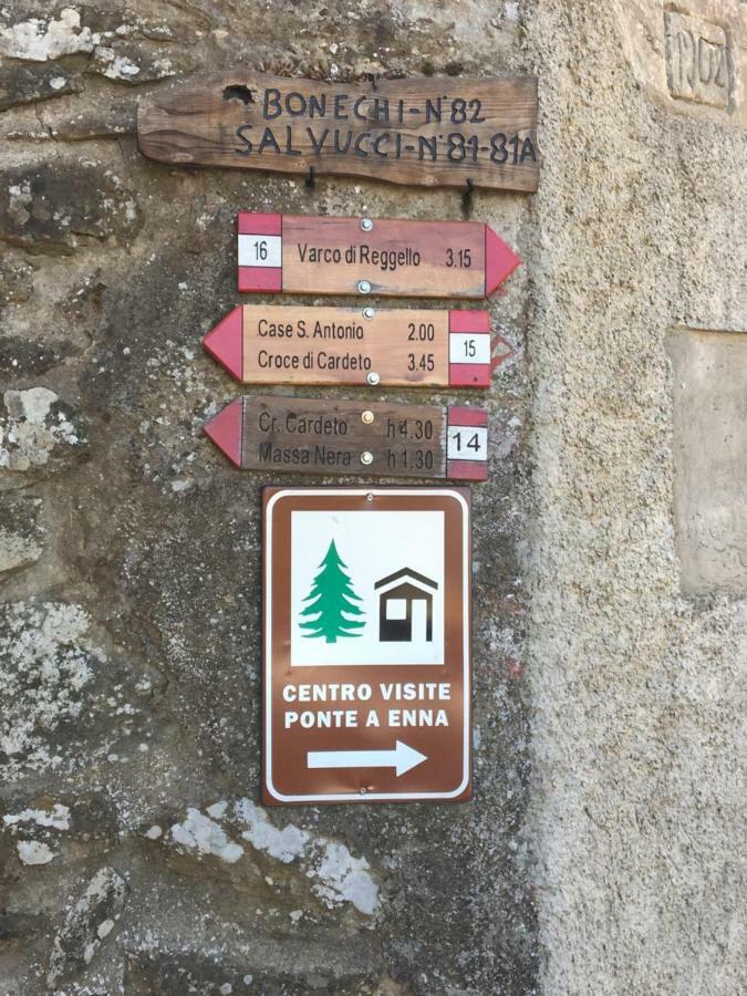Casa Tucci Daire Reggello Dış mekan fotoğraf